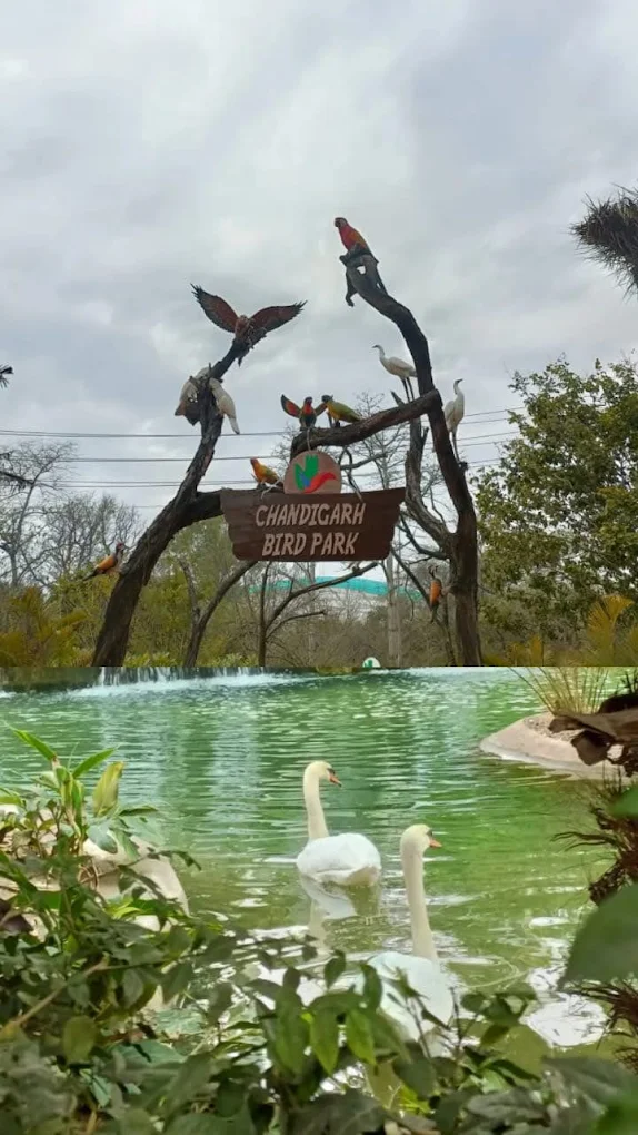 Chandigarh Bird Park