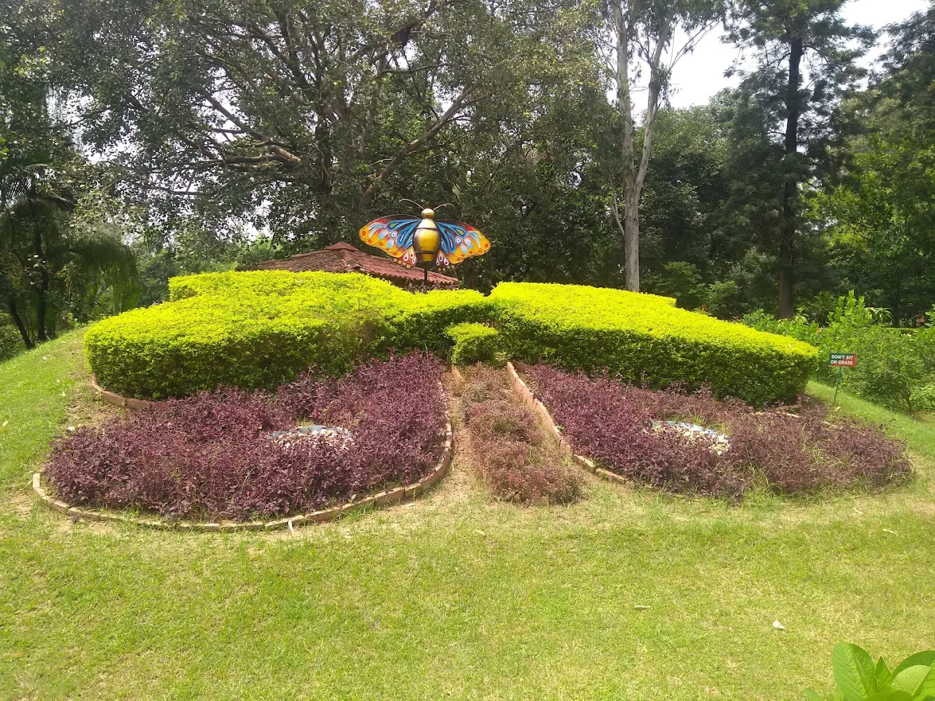 Butterfly Park Chandigarh