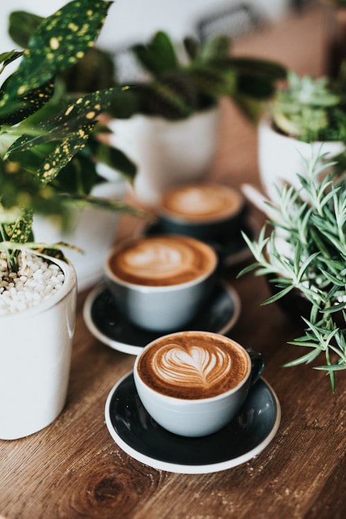 Friends chatting over coffee