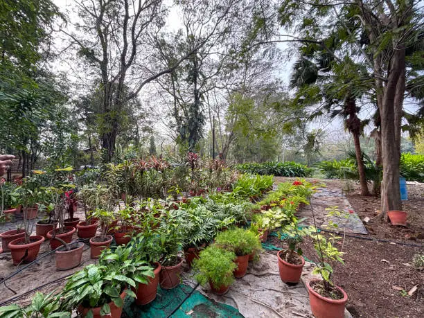 Herb garden