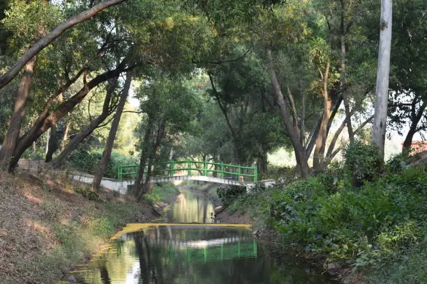 Stream and bridges